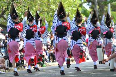 Awa Odori (阿波踊り)