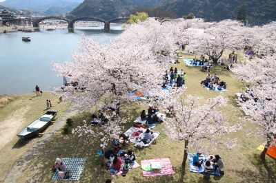 Hanami