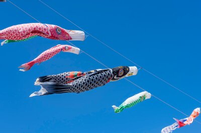 Koinobori