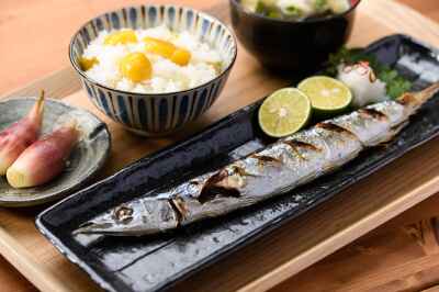 Pacific saury