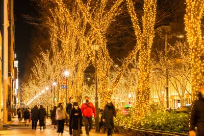 Christmas Omotesando