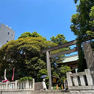 Academy of Language Arts Japanese Language School