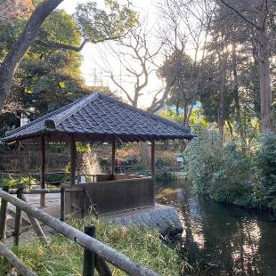 Shibuya Gaigo Gakuin