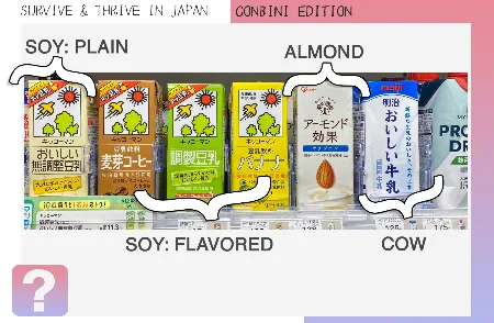 Soy milk vs Cow milk